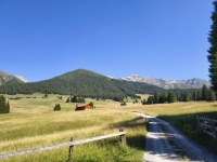 IMG_20260712_104209107_HDR