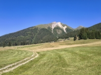 IMG_20260712_104633700_HDR
