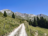 IMG_20260712_112220517_HDR