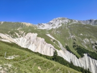 IMG_20260712_113250770_HDR