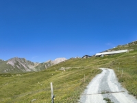 IMG_20260712_114441378_HDR