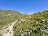 IMG_20260712_115357141_HDR
