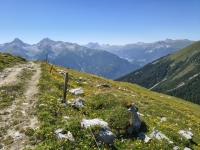 IMG_20260712_115408132_HDR