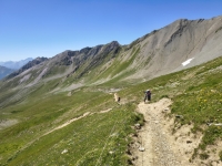 IMG_20260712_123059233_HDR
