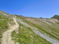 IMG_20260712_123103506_HDR