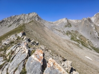 IMG_20260712_124330077_HDR