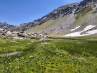 IMG_20260712_133659698_HDR