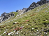 IMG_20260712_135045740_HDR