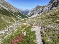 IMG_20260712_135057319_HDR