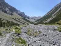 IMG_20260712_140518328_HDR