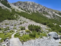 IMG_20260712_140528949_HDR