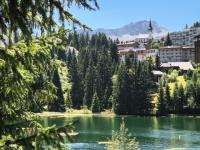 IMG_20260712_143856791_HDR