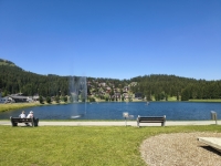 IMG_20260712_144555414_HDR