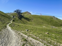 IMG_20260712_164300834_HDR