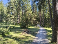 IMG_20260712_175800041_HDR