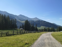 IMG_20260712_180517339_HDR