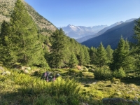 IMG_20260722_080805986_HDR