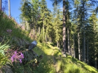 IMG_20260722_090239711_HDR