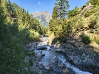 IMG_20260722_093408789_HDR