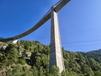 IMG_20260722_093502392_HDR