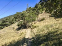 IMG_20260722_094354453_HDR