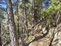 IMG_20260722_095038651_HDR