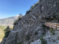 IMG_20260722_100507522_HDR