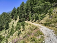IMG_20260722_125400308_HDR