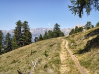 IMG_20260722_131350763_HDR
