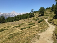 IMG_20260722_132147631_HDR