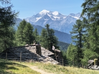 IMG_20260722_132208547_HDR