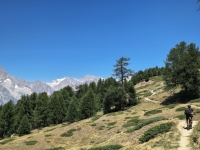 IMG_20260722_132247199_HDR