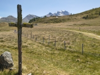 IMG_20260722_133436772_HDR