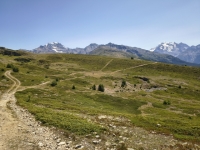 IMG_20260722_143556569_HDR