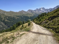 IMG_20260722_145115598_HDR
