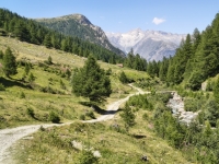 IMG_20260722_145906727_HDR