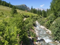IMG_20260722_150205329_HDR
