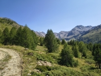 IMG_20260722_152520339_HDR