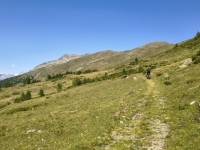 IMG_20260722_152903956_HDR