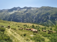 IMG_20260722_153138983_HDR