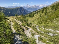 IMG_20260722_153719193_HDR