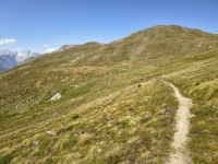 IMG_20260722_161915531_HDR