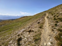 IMG_20260722_162609994_HDR