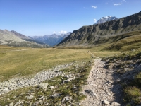 IMG_20260722_172647093_HDR