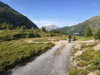 IMG_20260722_175229778_HDR