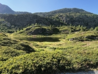 IMG_20260722_175242260_HDR