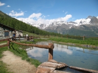 Agriturismo La Tchavana (Alpe Mezzan)