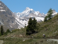 Alpe Saler Inferiore - sullo sfondo il Cervino