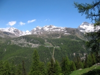 Salita all'Alpe di Nana inferiore - panorama