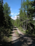 Strada per l'Alpe Mezzan